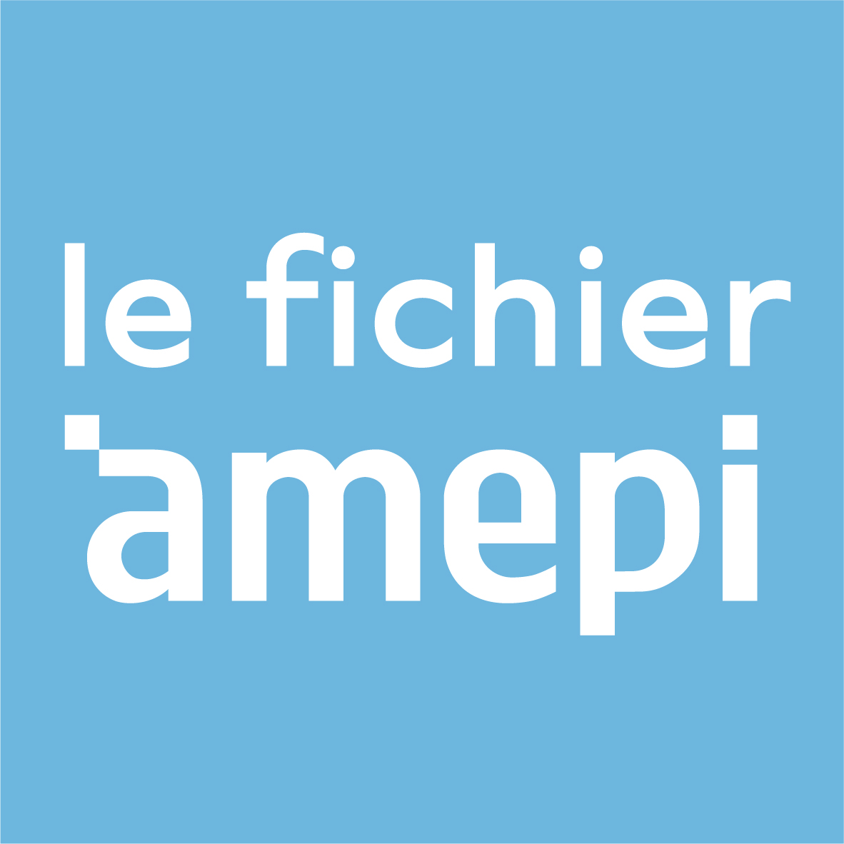 logo AMEPI